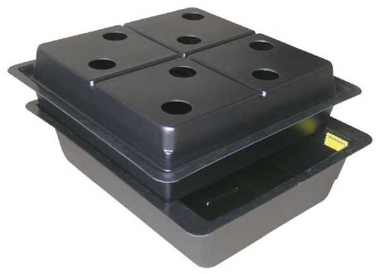 Amazon 8