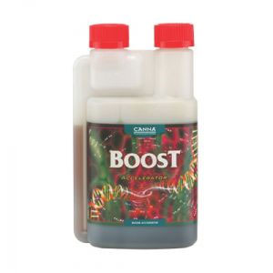 Boost Accelerator 250ml