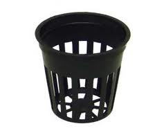 Net pot 5cm X-stream