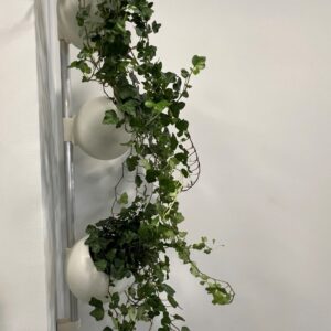 Επιτοίχιο κρεμαστό Σετ Κασπώ ( 3 Pots)