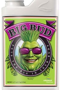 Big Bud 500ml