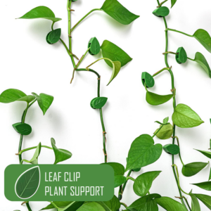 Clip Leaf