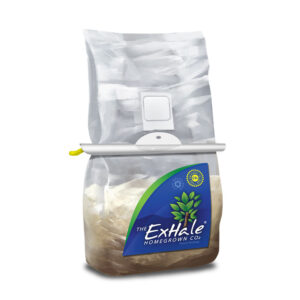 Exhale CO2