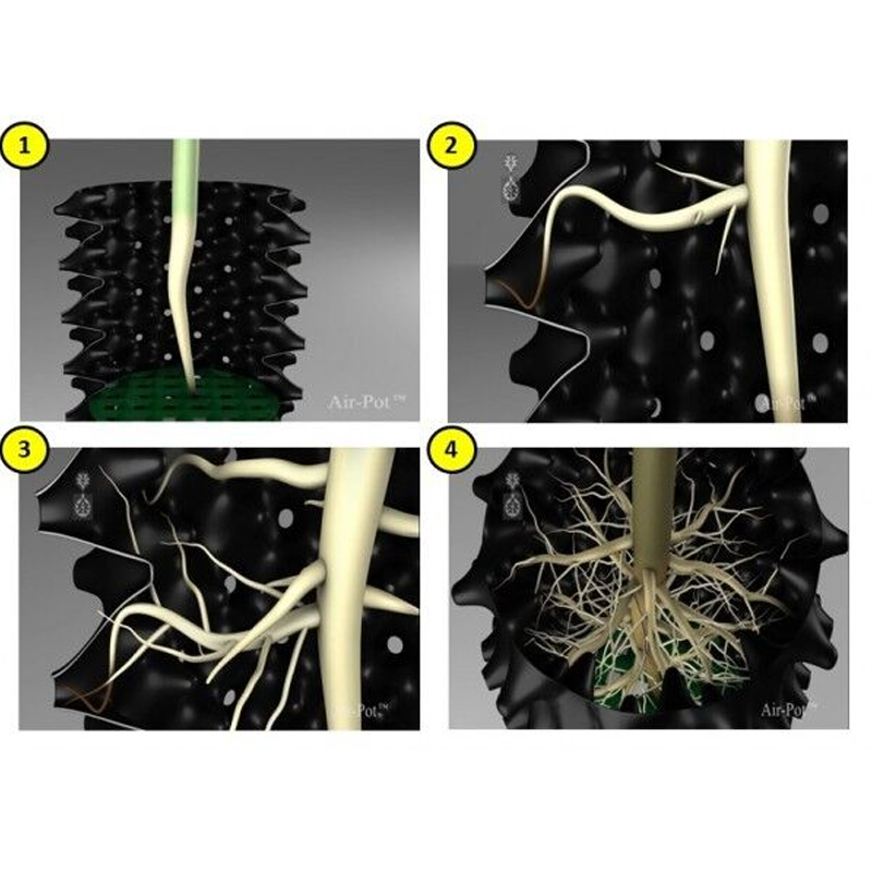 Air Pot 1L - Image 2