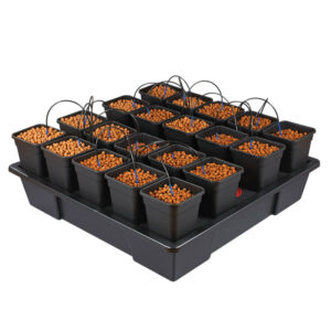 Wilma XXL 20 Complete 6L